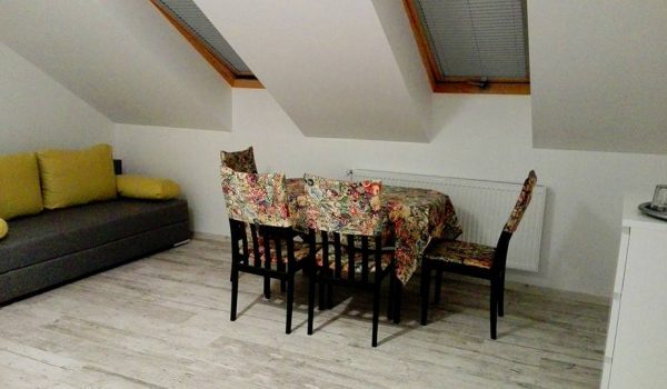 19905216_1625223180886008_2508378564621814407_n